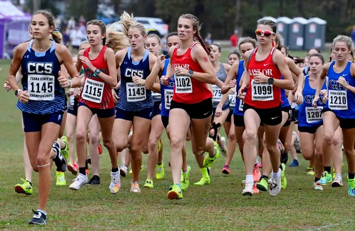 🌲 쓰다노마쓰바라 (현립 긴린 공원) 이미지 8